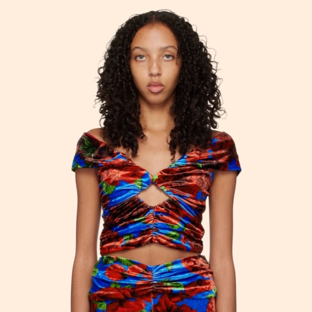 Magda Butrym Floral Velvet Crop Top